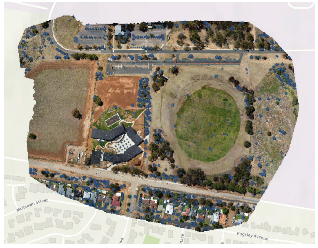 Object detection & segmentation of trees using Text SAM